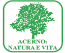 Logo Pro Loco - Acerno